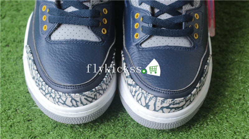 Authentic Air Jordan 3 Retro MICHIGAN PE